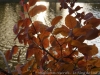 _dsc8031_dxo-0