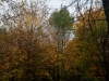 img_9954_dxo-0