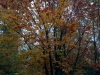 img_9972_dxo-2