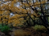 img_9975_dxo-0