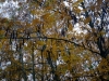 img_9977_dxo-0