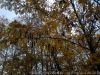 img_9978_dxo-1