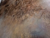img_0070_dxo-0