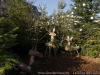 _dsc8188_dxo-0