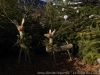 _dsc8192_dxo-0