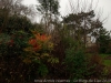 img_0199_dxo-0
