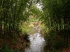 img_0203_dxo-1