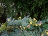 img_0205_dxo-0