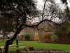 img_0212_dxo-0