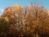 img_9984_dxo-2