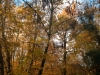 img_9990_dxo-2