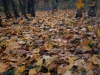 img_9998_dxo-7