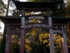 img_0037_dxo-2