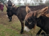 img_0285_dxo-1