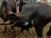 img_0294_dxo-1