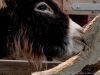 img_0304_dxo-1