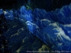 _dsc8600_dxo-0