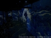 _dsc8602_dxo-0