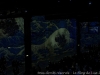 _dsc8605_dxo-0