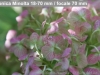 DSC01059