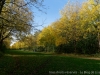 DSC01298DXO_2