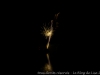 DSC00189