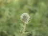 DSC00018