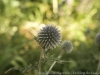 DSC00020