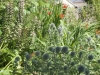 DSC00022