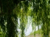 DSC00026DXO2