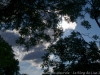 DSC00061DXO2