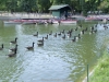 DSC00050