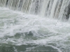 DSC00107