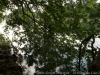 DSC00115