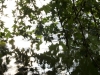 DSC00116