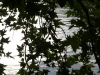 DSC00118