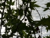 DSC00120