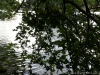 DSC00121