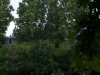 DSC00122