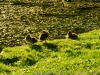 DSC00279DXO1