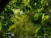 DSC00310DXO1