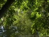 DSC00312