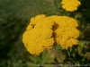 DSC00331DxO_0