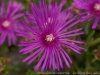DSC00339DXO_1