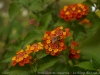 DSC00350DxO_0