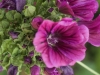 DSC00390