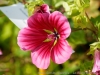 DSC00410DxO_0