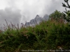DSC00643DXO_2