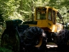 IMG_1929DXO_0