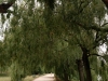 IMG_1961DXO_2
